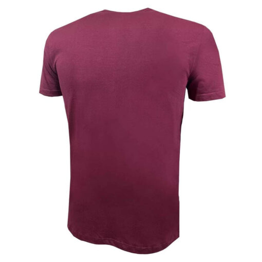 Camisa Masculino Fluminense Campeão Lib 23 Grená Liga Retrô - Image 3