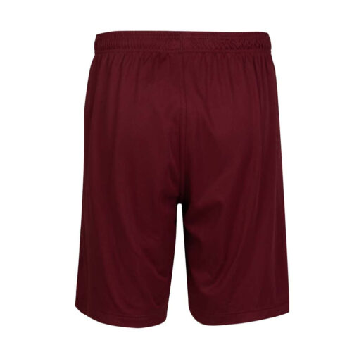 Short Fluminense Juvenil 2024 - Image 3